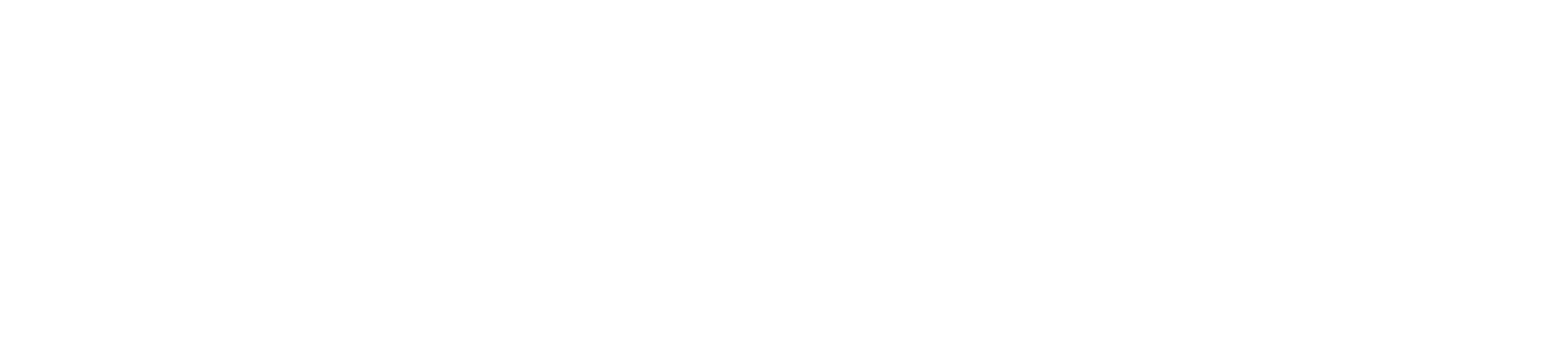 cayosoft-logo-2025-RGB@1000pxh-solid-white